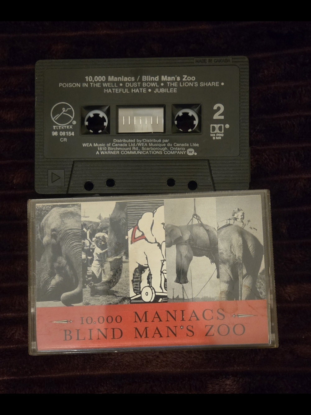 10,000 Maniacs - Blind Man's Zoo (Black Cassette)